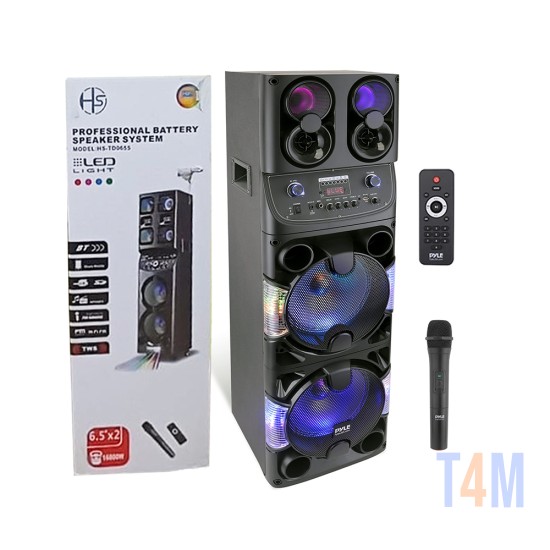 Big Portable Professional Trolley Wireless Speaker System HS-TD0655 with Microphone and Remote Control Black